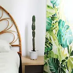 Hotel Cactus Salinas 3*