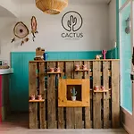 Hotel Cactus Salinas
