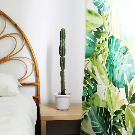 Отель Cactus Salinas 3*