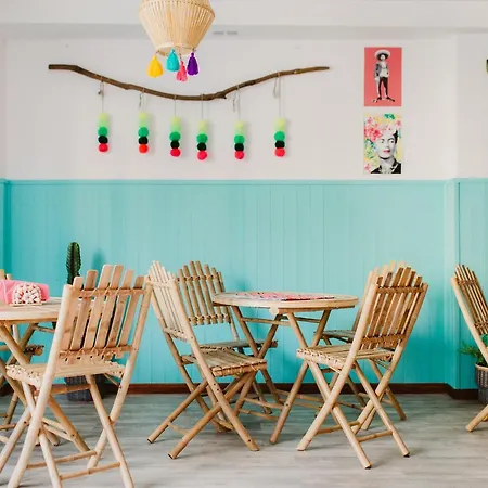 Cactus Salinas Castrillon