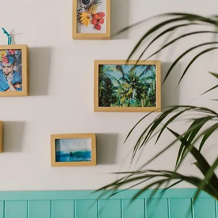 Cactus Salinas Castrillon