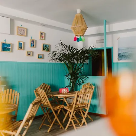 Cactus Salinas 3* Castrillon