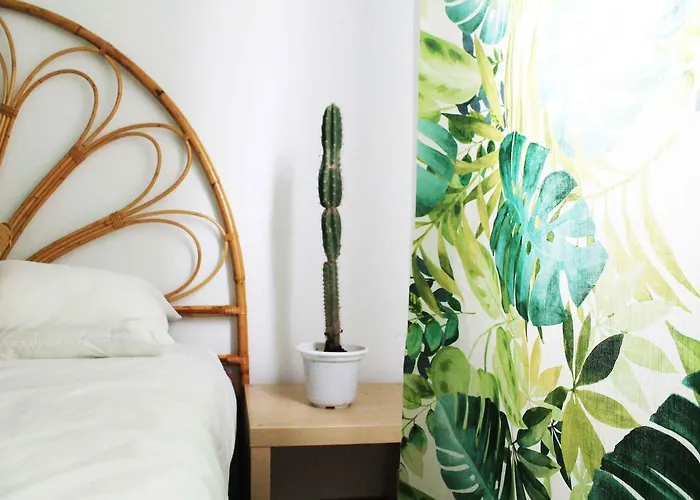 Hotel Cactus Salinas 3*