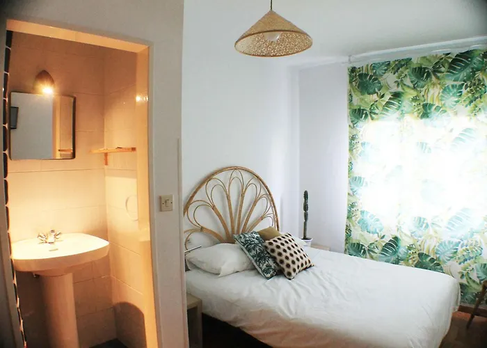 Cactus Salinas Castrillon