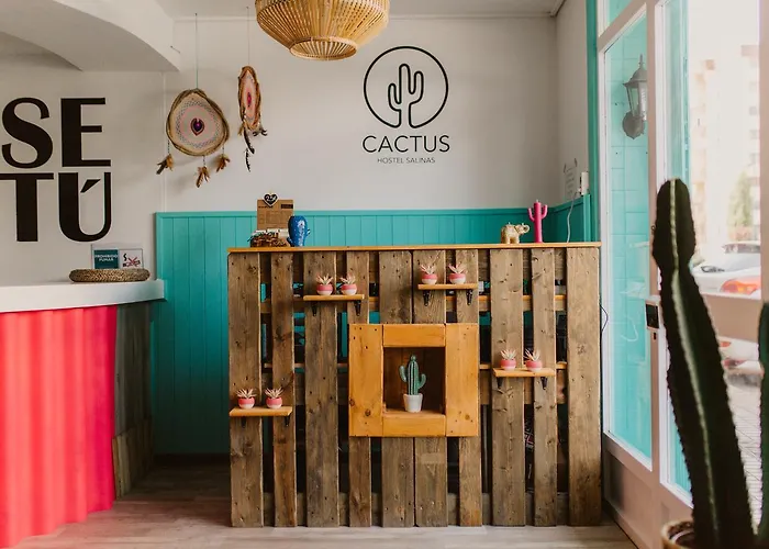 Hotel Cactus Salinas