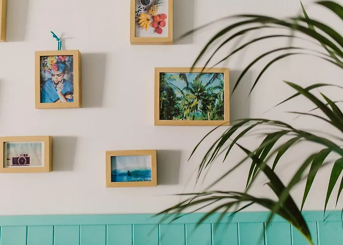 Cactus Salinas Castrillon